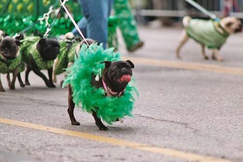 st patrick's day parade kansas city