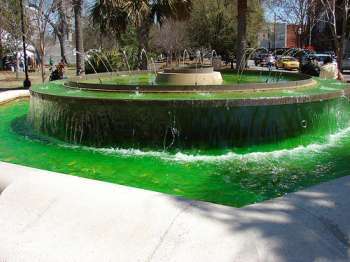 Charleston Fountain on St. Patrick's Day