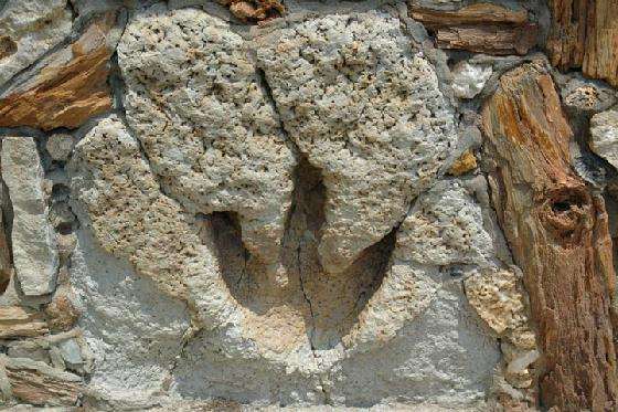 Garner state park-texas-Dinosaur_Footprint_at_courthouse-Glen_Rose