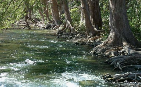 Lost-Maples-Frio-Cypresses-garner state park-texas