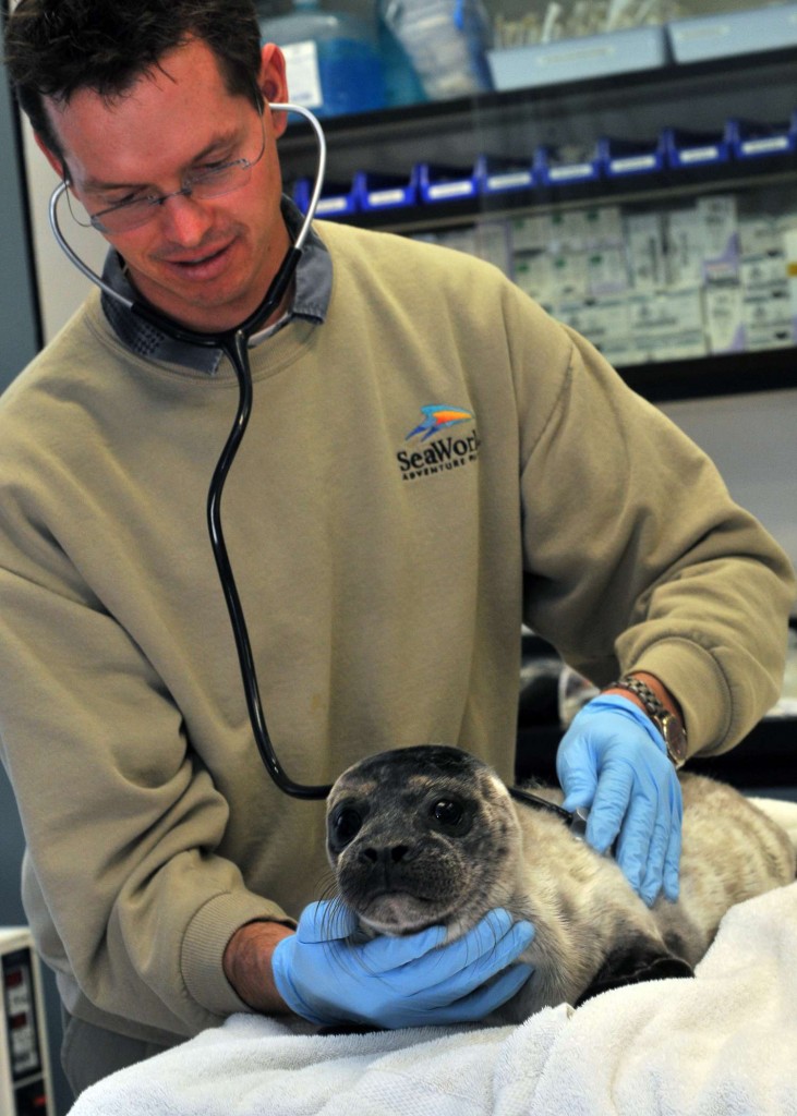 seaworld saves
