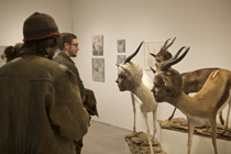 art chicago
