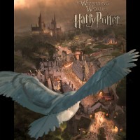 Owl Harry Potter An Owl's View of The Wizarding World of Harry Potter