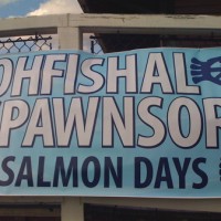 salmon-days-7 Ohfishal Spawnsors