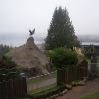 zoo Lake Sammamish in the distance.