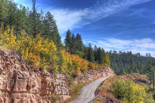 Near the Blue Ridge Reservoir in the Coconino National Forest.