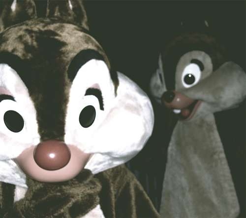 chip-dale