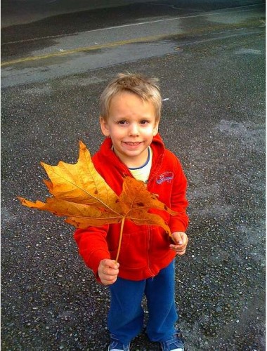 big-leaf