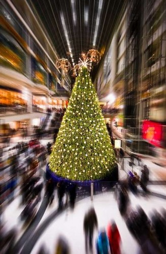 christmas-tree