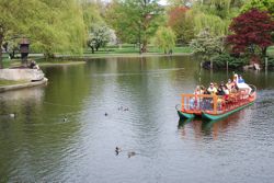 swanboats