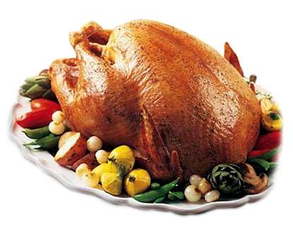 turkey1