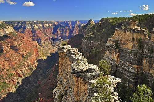 5193707116_65fccd7021 The Transept, Grand Canyon North Rim