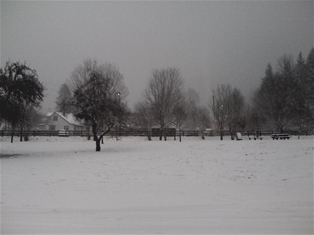 seattle-winter