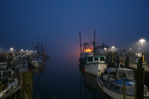 Stonington Harbor at night