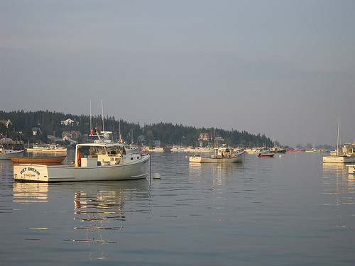 Lobster Boats in Stonington Harbor.