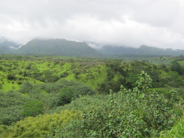 kaua'i 167