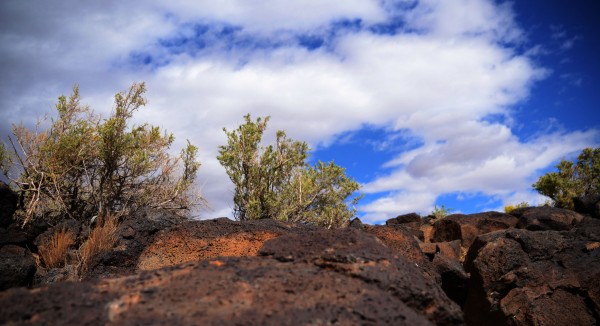 Albuquerque 806