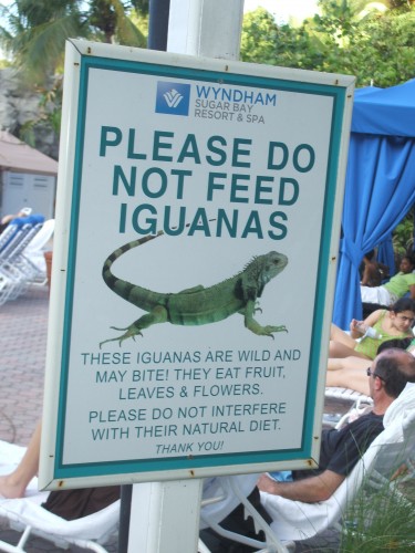 St. Thomas 011