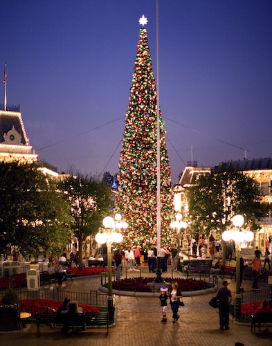 disneyland-christmas-tree-2011