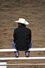 4040007221_3cc1c39988_m I wanna be a cowboy.