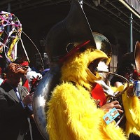 mardi-gras-drinking-parade